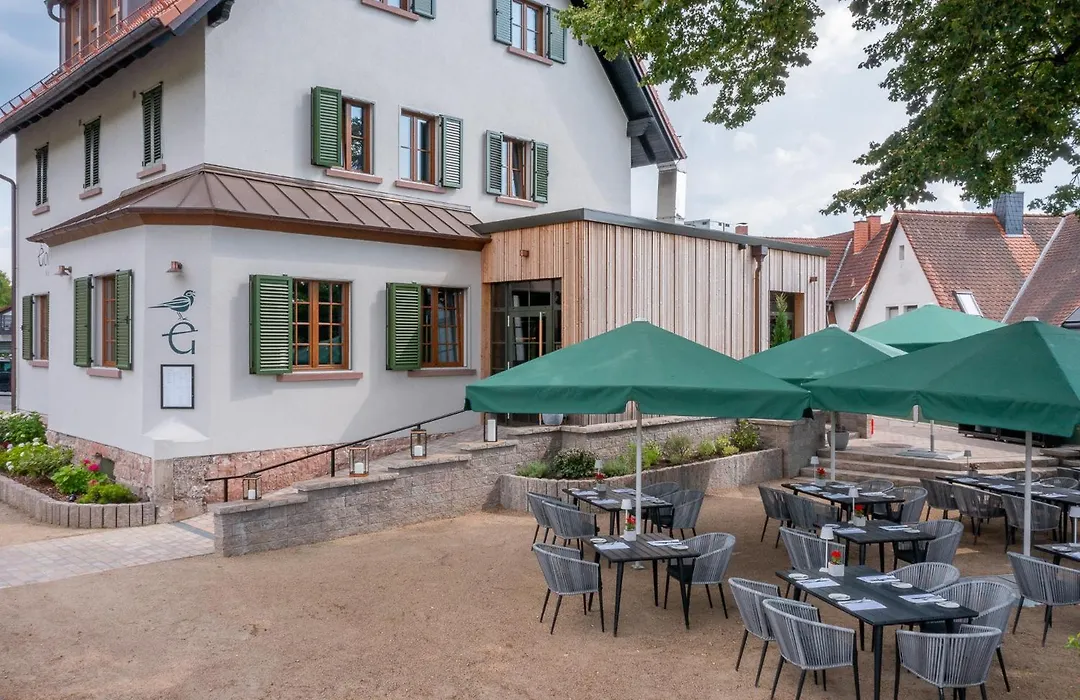 Goldammer Aschaffenburg-1