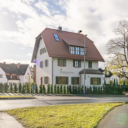 Goldammer Aschaffenburg-3